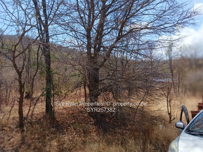 Kariba Baobab Ridge For Sale