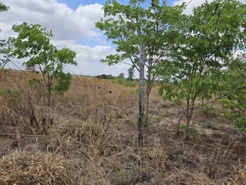 Farm & Agricultural Land