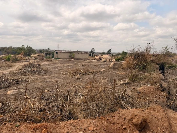 Stands & Residential Land
