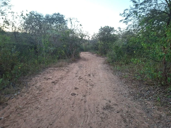 Farm & Agricultural Land