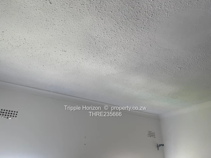 Refurbished Garden Flat For Sale (Sole Mandate)