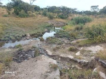 Farm & Agricultural Land