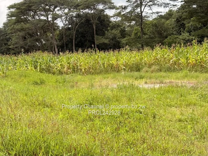 4,800m² Carrick Creagh Stand — Cleared Base & Water Tank
