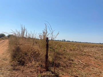 Farm & Agricultural Land