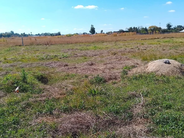 Commercial & Industrial Land