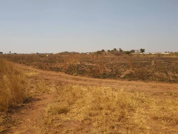 Farm & Agricultural Land