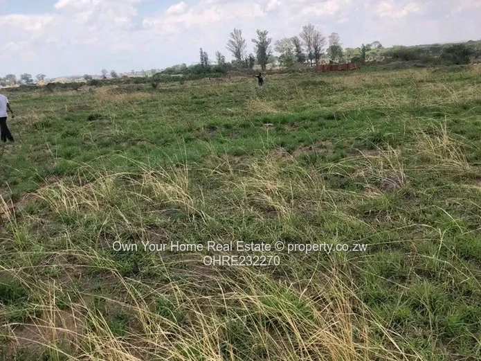 Huntersville Stand For Sale