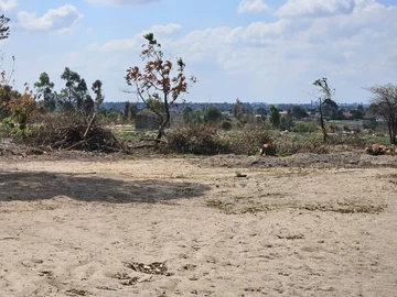 Farm & Agricultural Land