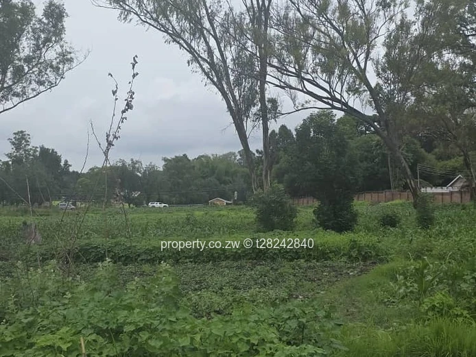 Chisipite Main Road Frontage  (Sole Mandate)