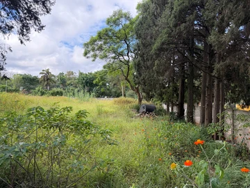 Commercial & Industrial Land