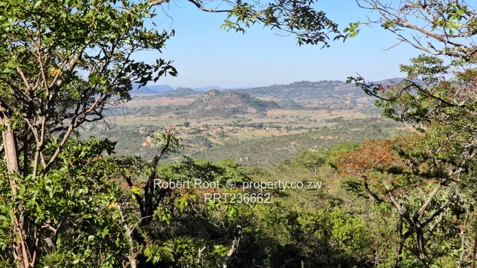 Picturesque Stand For Sale Juliasdale, Inyanga