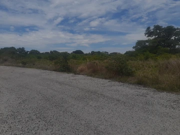 Farm & Agricultural Land