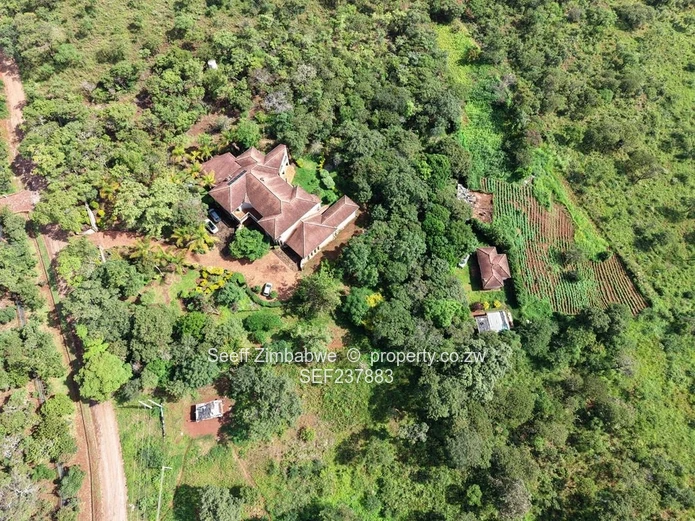 Exclusive 4000 sqm Panhandle Stand #2 for Sale in Shawasha