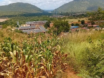 Commercial & Industrial Land