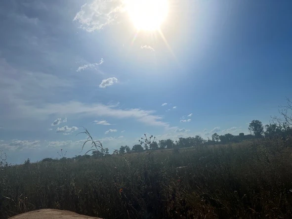 Commercial & Industrial Land