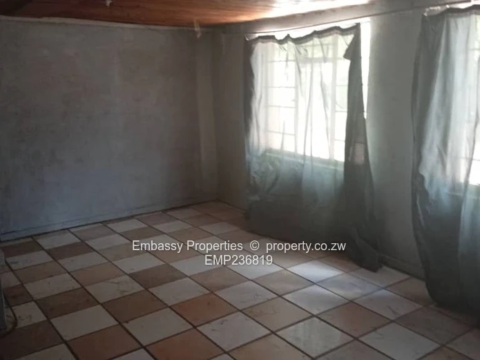 Investment with high return