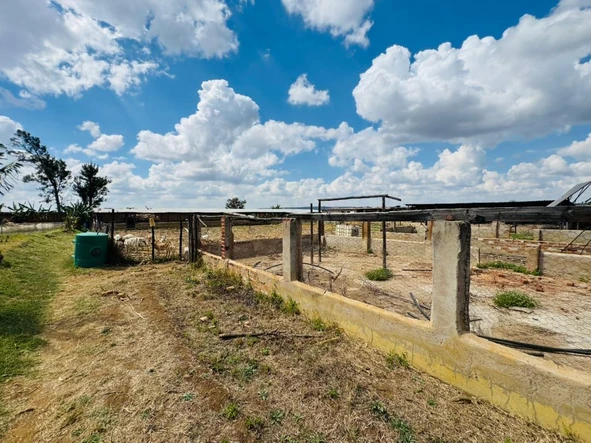 Farm & Agricultural Land