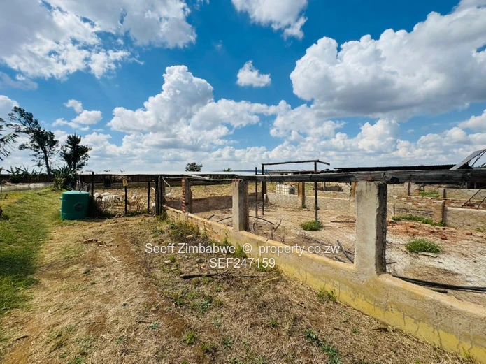 Prime Multi-Purpose Plot | Knowe, Norton
