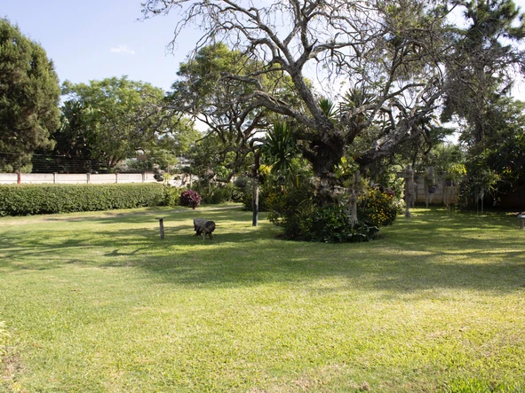 4 Bedroom Townhouse Complex