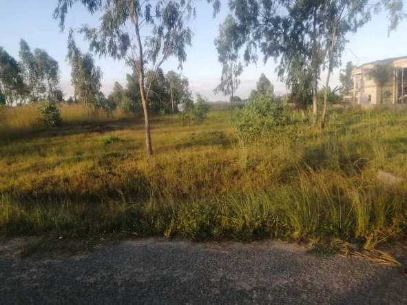 Stands & Residential Land