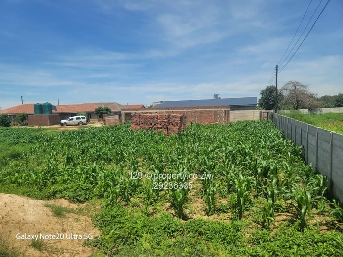 Granary phase 4 stand for sale