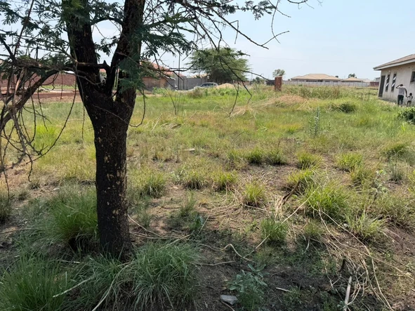 Stands & Residential Land