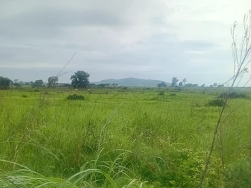 Farm & Agricultural Land