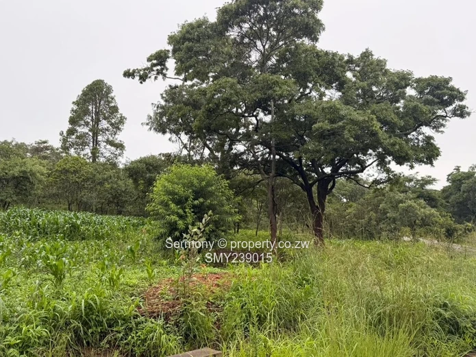 Residential stand for sale