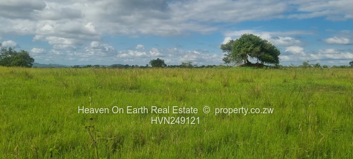 Plots for sale