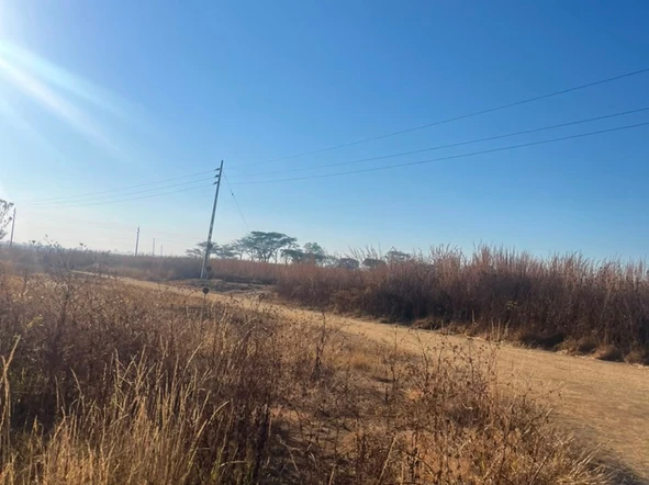 Land