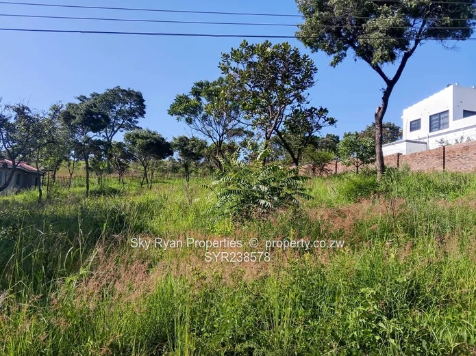 Carrick Creagh Stands  For Sale