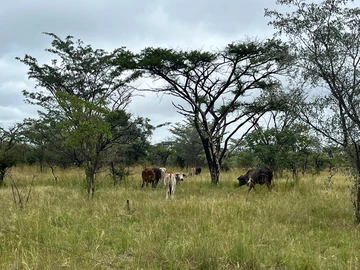 Farm & Agricultural Land