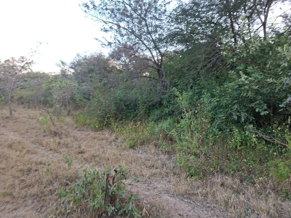 Farm & Agricultural Land