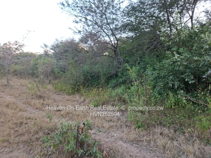 Plot for sale with a Dip Tank