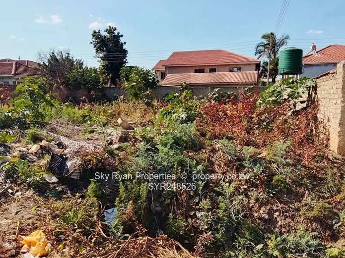 Old Zimre Park Stand For Sale