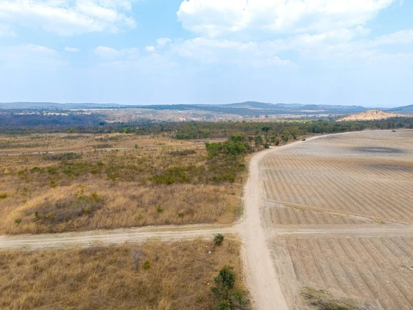 Farm & Agricultural Land