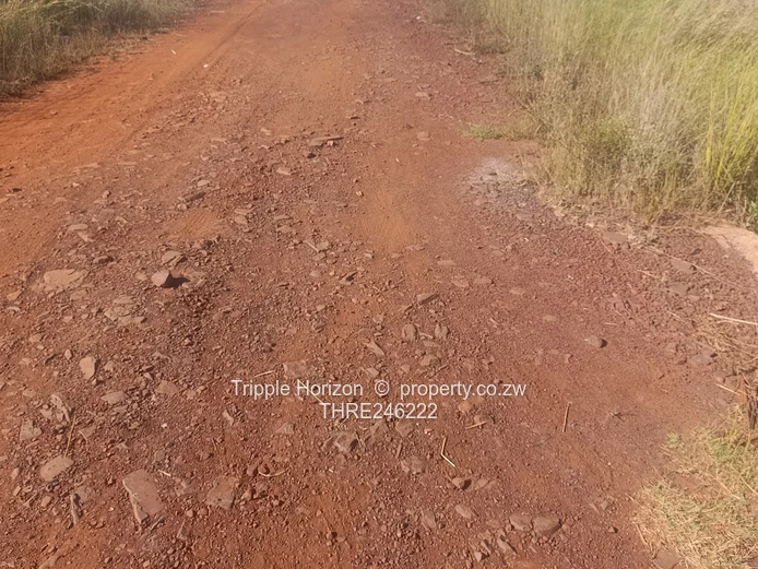 1000m² Norton Stand — Level, built up area