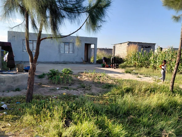 Stands & Residential Land