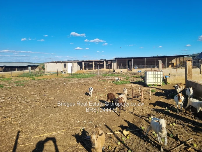 Fully Operational Peri Urban Agro Residential Plot (Sole Mandate)