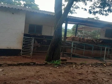 Farm & Agricultural Land