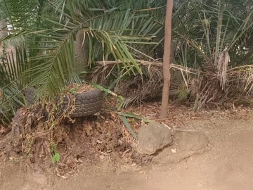 Stands & Residential Land