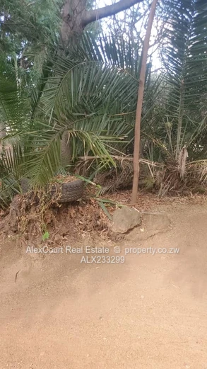 Mt Pleasant Northwood Land for Sale