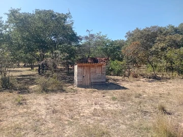 Farm & Agricultural Land