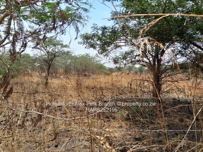 Prime land in Mashuma  (Sole Mandate)