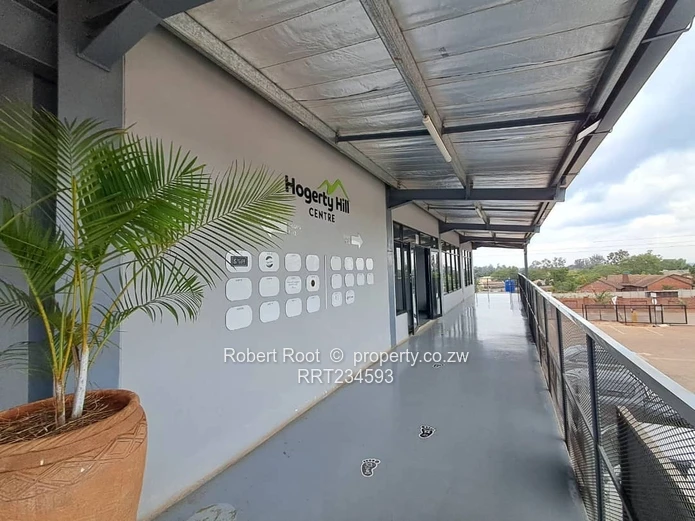 Prime space in the new Hogerty Hill complex!