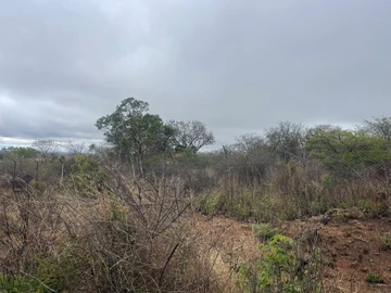 Land