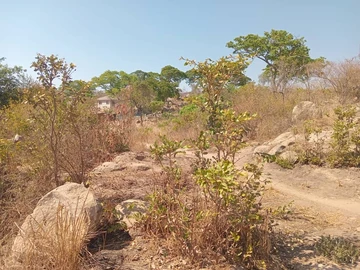 Stands & Residential Land