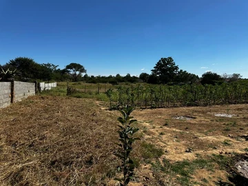 Stands & Residential Land