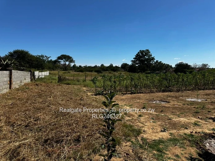 Sunninghill Stand (1 Acer) (Sole Mandate)