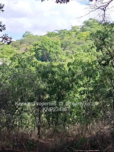  Prime 5,680sqm Stand with Exceptional Views